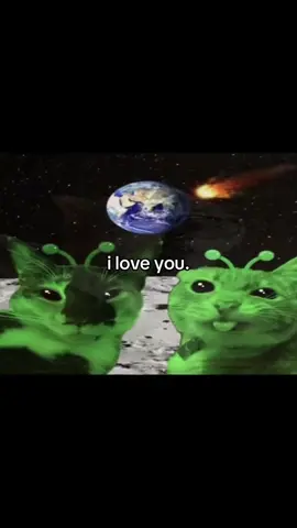 i love you sooo much. #ily #luv #bf #gf #formylove #fyp 
