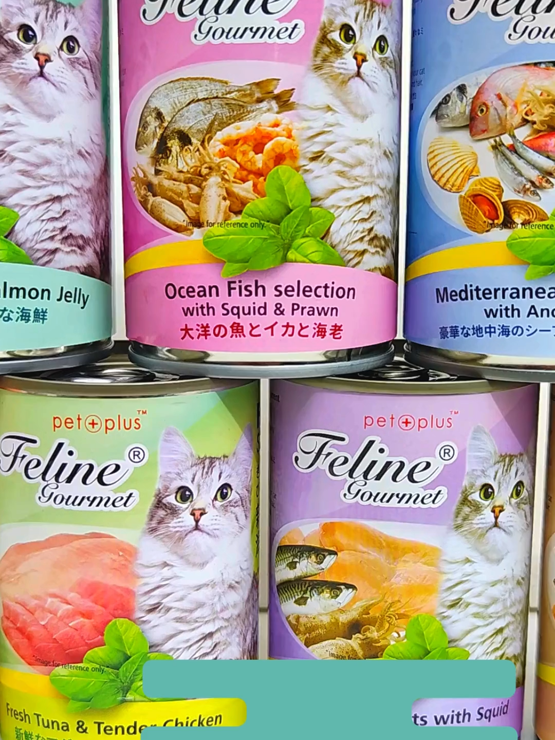 PetPlus Feline Gourmet Wet Cat Food 400g Seafood Platter - High Protein Omega 3 & 6 for Healthy Skin & Coat. No Artificial Flavours, No Preservatives, No Added Salt Builds a Strong Immune System: High quality protein and minerals helps build a robust immune system. Promotes Healthy Skin and Shiny Coat: Omega 3 and Omega 6 fatty acids helps your cat glow with healthy and beautiful skin and hair. Maintain a Healthy Heart: Contain essential nutrients for a healthy heart. Maintain Healthy Eyes: Natural Taurine to help maintain eye health. #felinegourmetph #felinegourmetwetfood #petplus #catfood #catwetfood #healthtycat #healthycatfood #petshop #petstore #catlovers