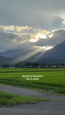 In Japan this one is called “tenshi no hashigo” (angel’s ladder), how is it called in your country? 