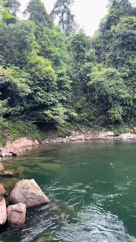 Ni yang premium 🌊 . . #fypシ゚viral #tangkahan #pesonaindonesia #liburanseru #allintangkahan 
