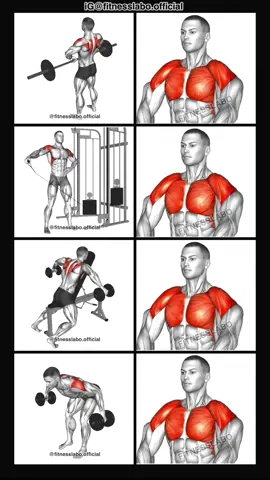 ✅ Exercises for Wider Shoulders  ① Upright Row ② Cable One Arm Lateral Raise  ③ Chest Support Lateral Raise  ④ Reverse Fly 3 sets 10-12 reps  #Fitness #gym #exercise  #workout #workoutroutine           