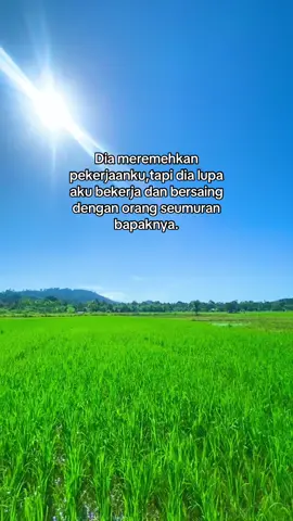 #fyp #semangatberjuang #petanimuda #petaniindonesia🇮🇩🇮🇩🇮🇩🌿🌿 #petanipadi 