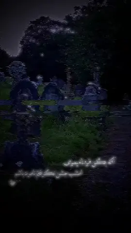#afghanistan🇦🇫 #tiktok #foryou #video  . . . . #پشتون_تاجیک_هزاره_ازبک_زنده_باد🇦🇫 #حمایت_کنید_با_لایک_و_فالو_لط #جبران_میشه_لایک_فالو_افغانی_تیک_تاک 
