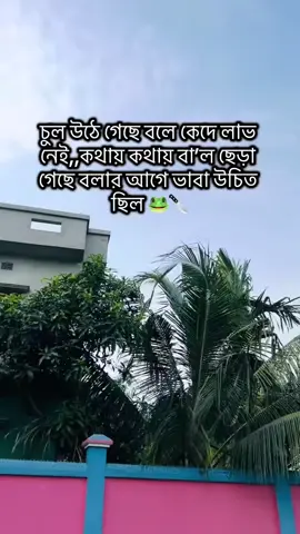 চুল উঠে গেছে বলে কেঁদে লাভ নাই...!🐸🔪🗡️#কুমিল্লার_ছেলে #স্ট্যাটাস_লেখক_সাগর 