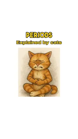 Periods explained by cats 🐱 :)  #fyp #cats 