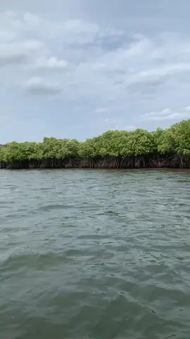 Trincomalee fishing  #trincomaleefishing 