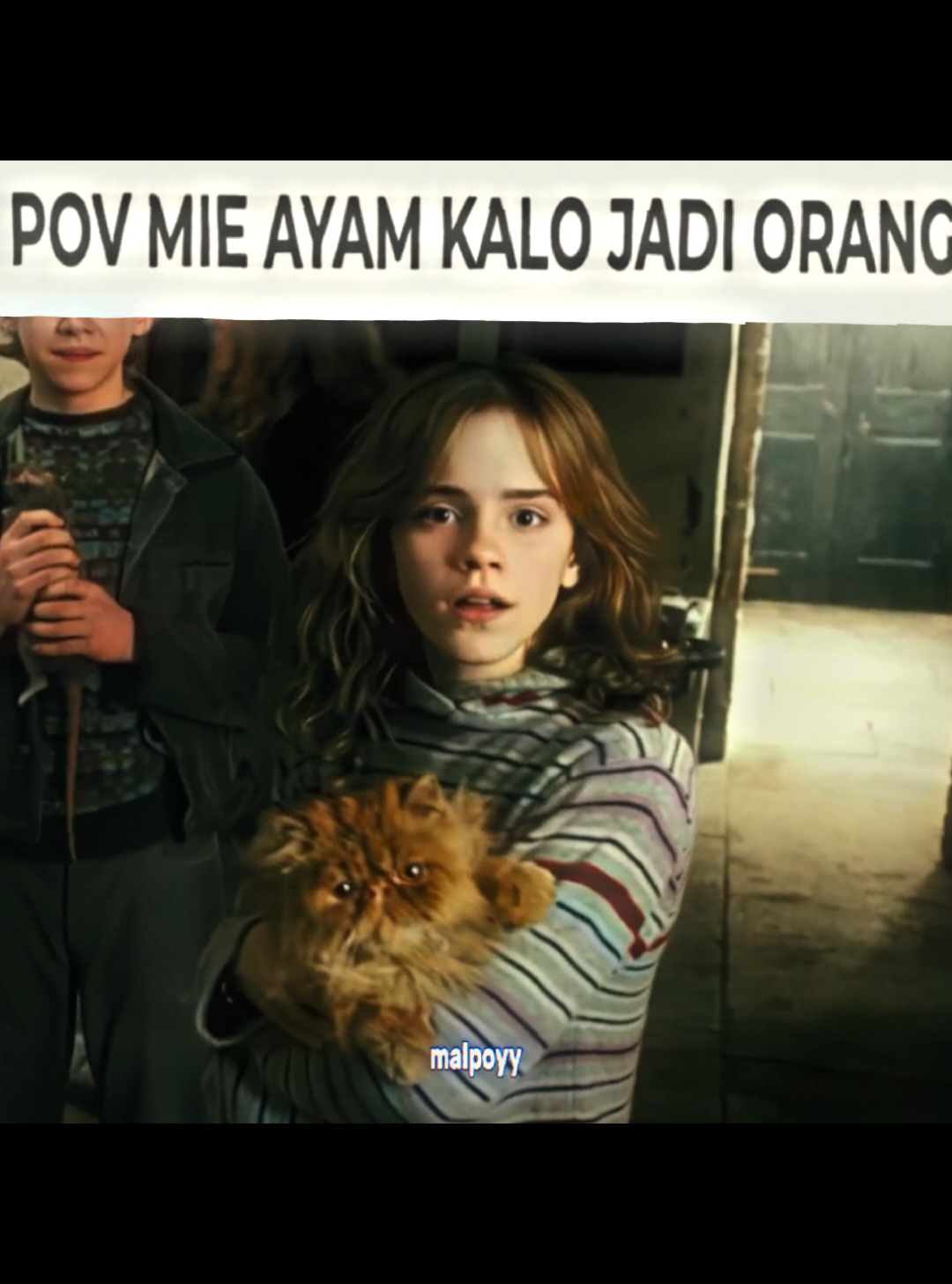 i lup mih ayam😋 || ib:@piaamalfoy  #hermionegranger #hermionegrangeredit #emmawatson #emmawatsonedit #hermione #harrypotter #harrypottertiktok #harrypotteredit #prisonerofazkaban #fyp #indo #jj #emma #wizardingworld 