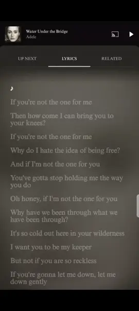 #adele #waterunderthebridge #music #lyrics 