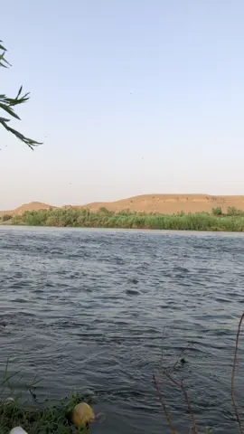 #بلا_عنوان🖤 