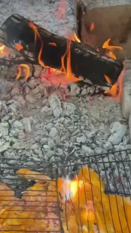 فەریــدە🌺 #کوردەواری #هۆرەی_کوردەواری #کەلانە😋😋😋😋😋 #هەڵپەرکێ #هۆرەی_جافی #هۆرەی_قەڵخانی #کچان #