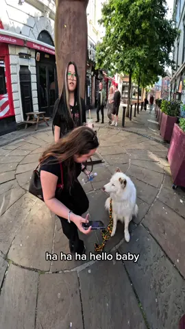 Interactions with my dog!!  #husky #dog #famous #pets #fypp #follow #viral #chicken #violasnow 