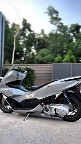 ดูทรงมานาน😹🤍#pcxสีเทาแลมโบ #pcx160modifikasi #pcx160 #pcxดิว่ะ #ฟีดดดシ #อย่าปิดการมองเห็น #เทาดารา #รถบ้านอาตี๋ #pcx160ล้อ17แต่งสวย #pcx160ล้อ17แต่งสวย🇹🇭 #ไทยออส #ไฟรุ้ง🌈 #ฟีดหน่อย #เทรนด์วันนี้ 