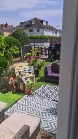 #babyseagull #learntofly #seagull #garden #hotday #funnyanimal #funnyanimalvideos #animalsoftiktok 