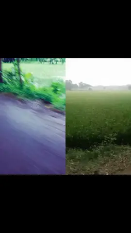 #duet with @md milon khan #you #trending @🥰🥰মা আমার🥰🥰 পৃথিবী ❤️❤️