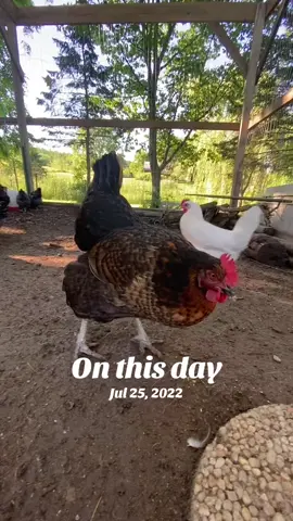 #onthisday 
