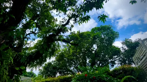 The grand Dadubari Park And Resort Dinajpur #foryou #park #virulvideo 