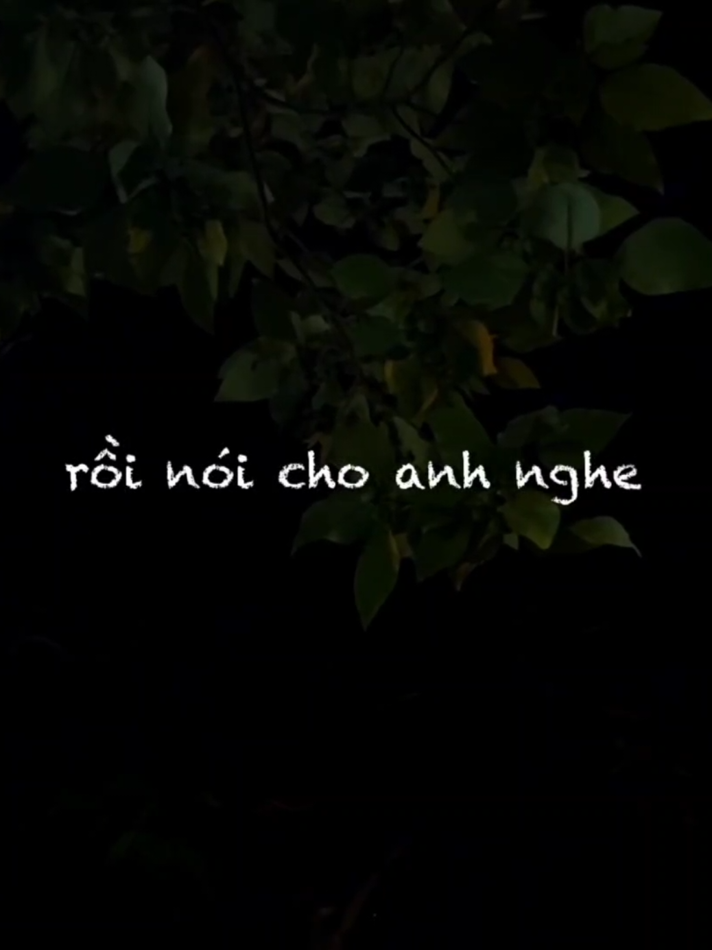 Hay là mình❤️‍🩹...