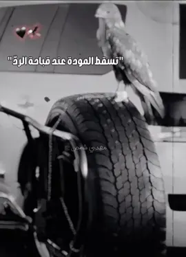 #مصمم_فيديوهات🎬🎵 #تصميمي #ترند #مشاهير_تيك_توك #مشاهدات #fyp #viral #foryou #اكسبلور #FunkNoCapCut #Funk #🐆 #🐆🖤 #foryoupage #explore #مهدي📽️ 
