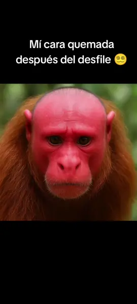 mi cara quemada después del desfile #cachiporra #bandas #bailarina #bastoneras 