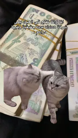 شركة new vision حقيقية وفيها دراهم 😭  ‎#newvision  #foryou #fyp #viral #tiktoktrend #explorepage  ‎#تجارة_الكترونية #ecommerce #makemoney #onlinebusiness #digitalmarketing #startup #onlinecourses  #education #دروس #دروس_خصوصية #باكالوريا #تعلم_اللغات #لغة_انجليزية #برمجة #تطوير_الذات #ريزين #motivation #نساء #رائدات_أعمال #ميكب #صابون #مشروع #فرصة_عمل #وظيفة #nvision #newvision #شغل #عمل #دورات #تعليم #ديبلوم #تجارة_الكترونية_عن_بعد #❤️ #❤ #❤️❤️❤️ ‏
