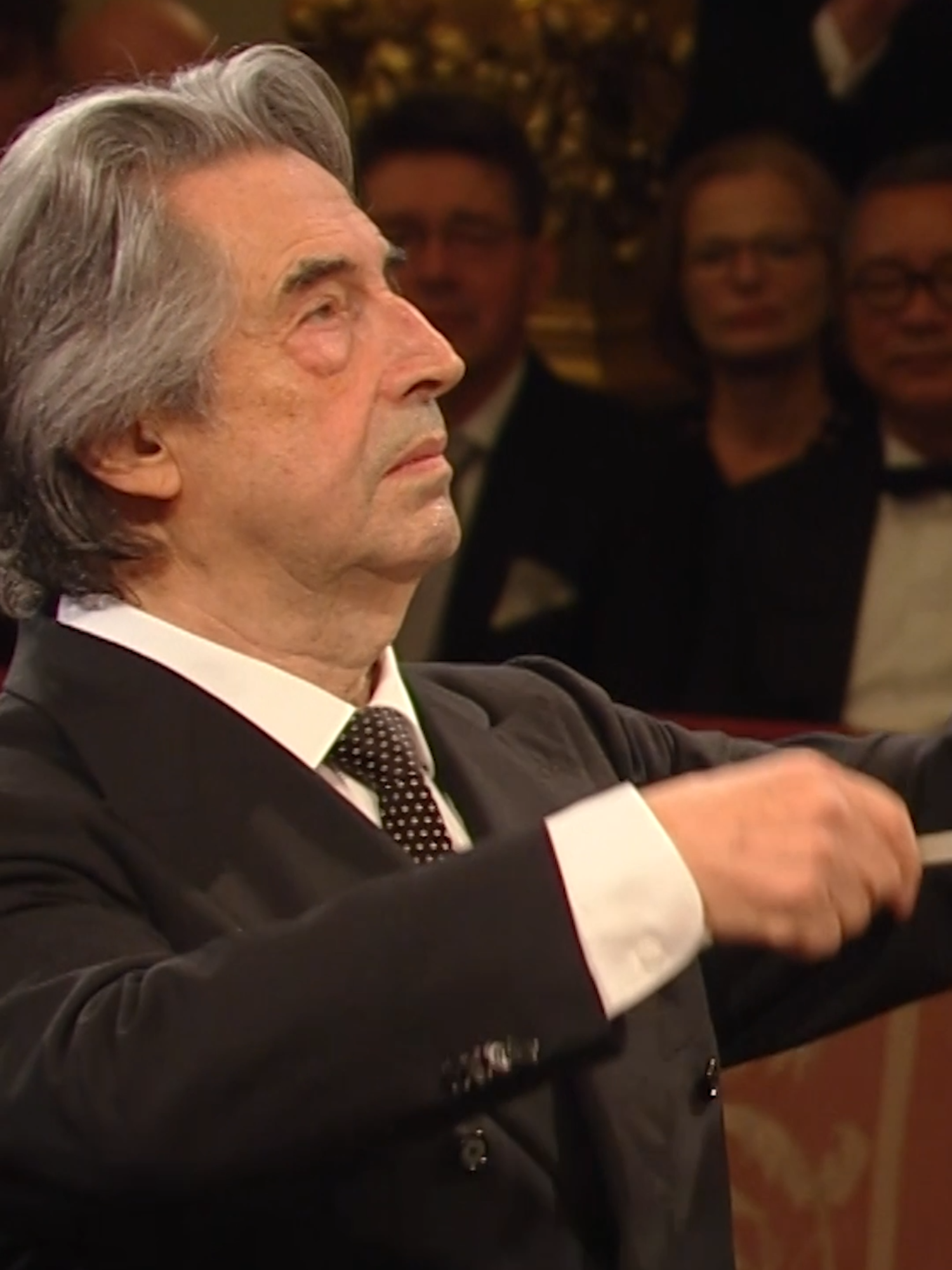 Happy Birthday, Riccardo Muti!✨ #bluedanube #vienna #summer #birthday 