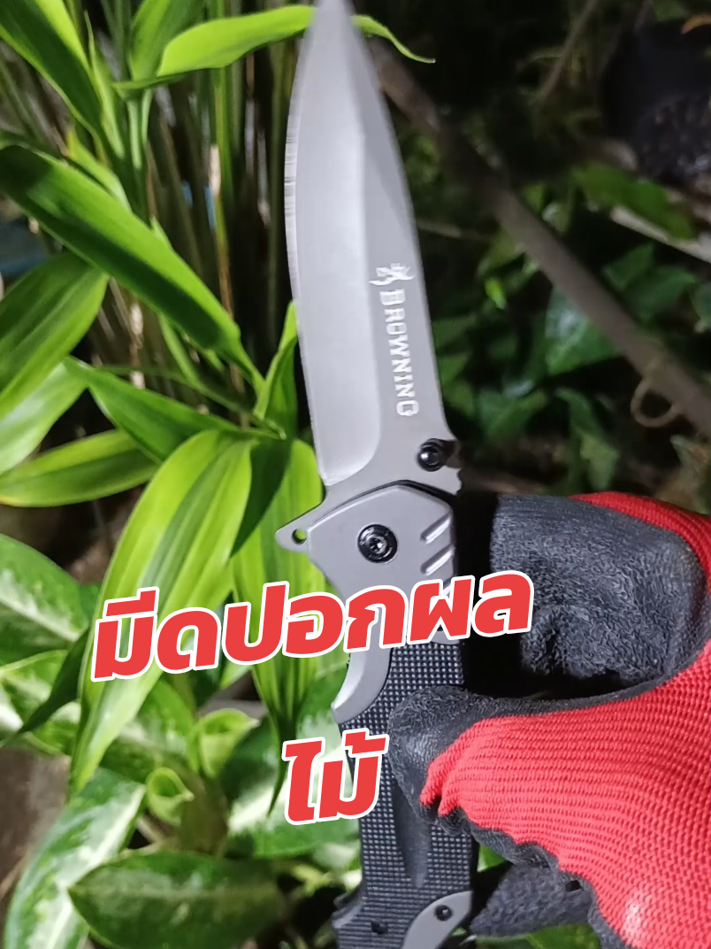 มีดปอกผลไม้มีดพับมีดพกมีดเดินป่าแค้มป์ปิ้ง#มีดพับ #มีดพก #มีดเดินป่า #มีดแค้มป์ปิ้ง #มีดผจญภัย 