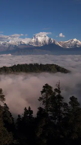Dhaulagiri ❤️