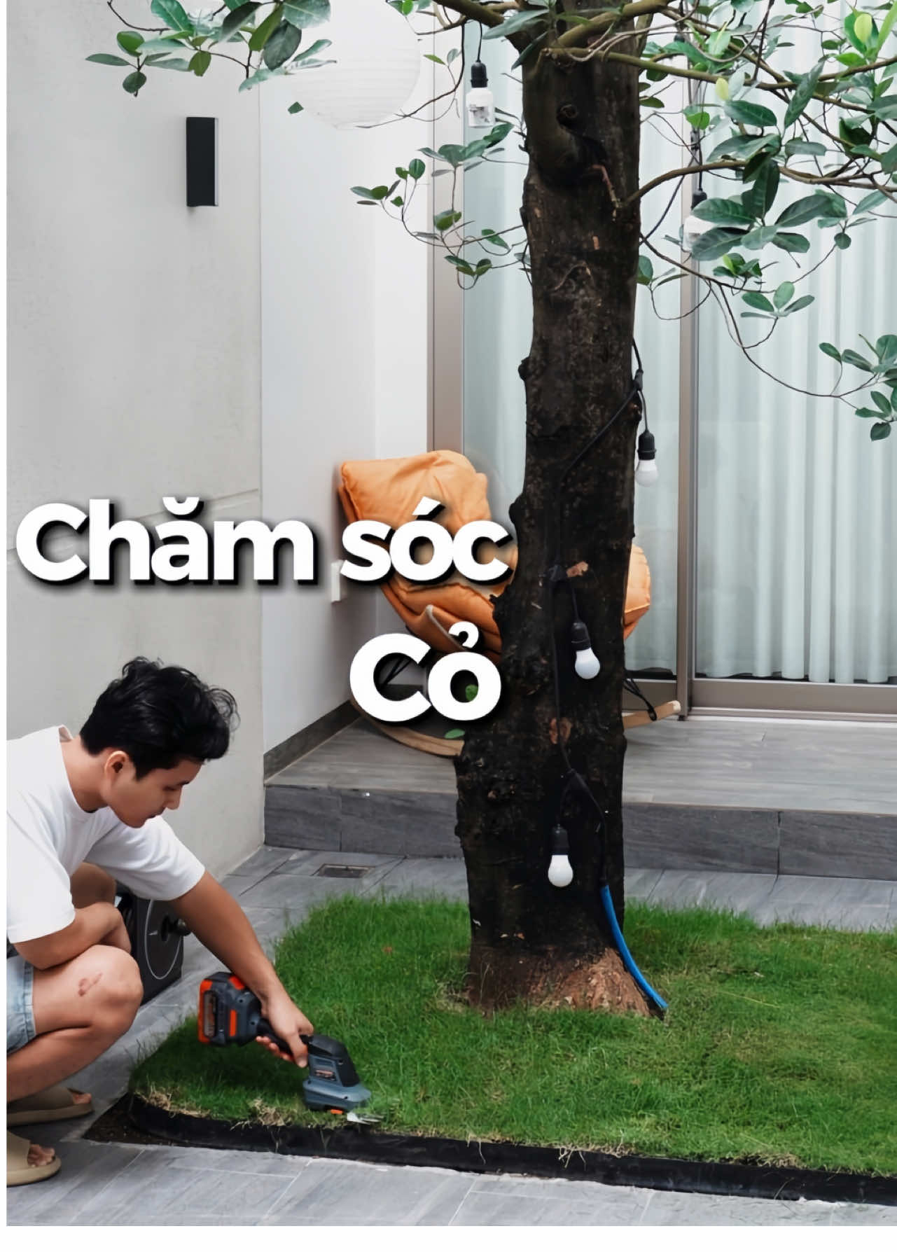 Nhìn màu cỏ này sao thấy giống sắp phải thay cỏ nữa quá 🥹 #nhacocaymit #dondepnhacua #giaiphongsuclaodong #giadinh #Home #xuhuong #conhungnhat #catco 