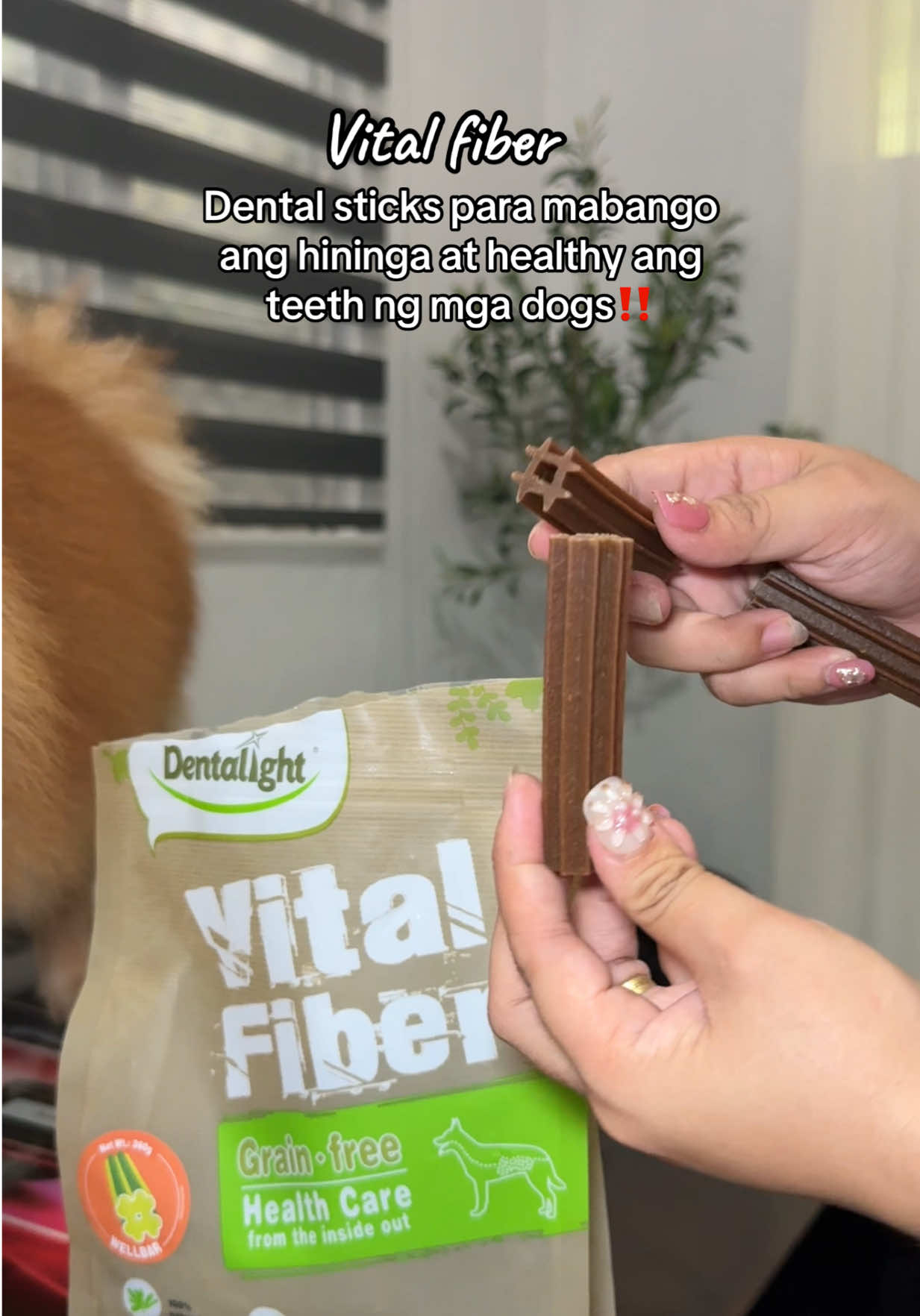 Well bar ang design ng dental sticks nila.. medyo matigas kya mainam na din na pantanggal tartar ng dogs natin #dentalsticks #dentalightdentalstix #dentalight #dogdental 