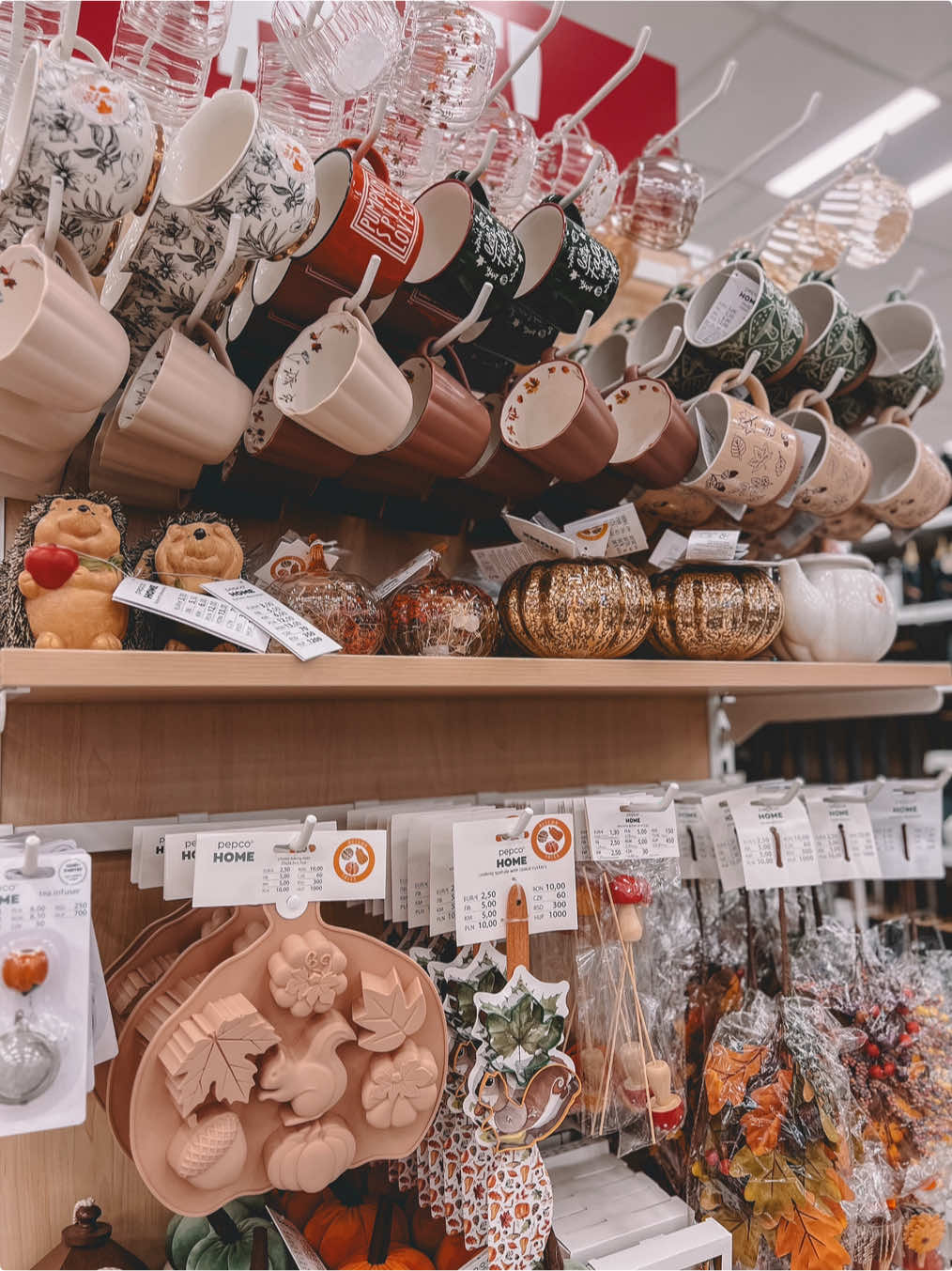 IN SFARSIT🤎 a aparut colectia noua de toamna la Pepco, bineinteles ca am plecat cu 4 cani noi de acolo🤭😂🍂 #pepcohaul #pepco #pepcoromania #autumngirl #fallgirl 