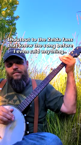 Zelda - Lost Woods (Minor Key) – 🎻🪕🌲 ⠀ Zelda fans.. you guys never miss. I snuck in my minor key take on Saria's Song (Lost Woods) from The Legend of Zelda and didn't say a word about it to see who would spot it, and I wasn't disappointed. ⠀ The response was so awesome I wanted to try and make a full song out of it, so I brought my guitar out of the lost woods and this is what I've got so far.. I might try to recruit a dulcimer player and a fiddler, stay tuned! ⠀ I appreciate the real ones, thank you for your kind words and support! ⠀ 🎵 Tabs, Discord, Socials → link in bio ⠀ #lostwoods #zelda #ocarinaoftime #clawhammer #banjo #nintendo
