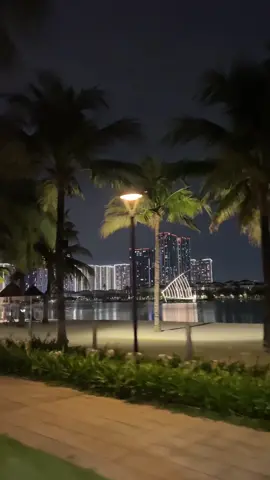 Không khói bụi, không ồn ào, vẻ đẹp của vinhomes ocean park về đêm #vinhomesoceanpark #bietthugiare #shophouse 