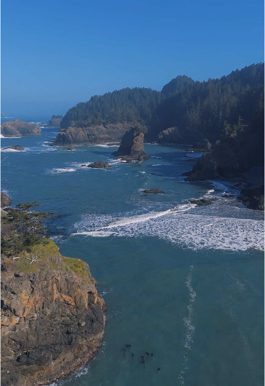 Secret Beach, Samuel H. Boardman State Scenic Corridor, Brookings, Oregon #pacificnorthwest #oregonhikes #pnwhiking #oregoncoast #pacificcoast #pacificocean #oregonhiking #Hiking #CapCut  