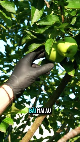 Ia uite-l 😀 #ecotaran #mangomood #egipt #reel #fyp 