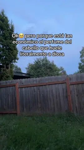 #perfumecabello #hairperfume #warmsugar #kitsch #kitschhairperfume @Kitsch #endescuentohoy #enoferta #paratiiiiiiiiiiiiiiiiiiiiiiiiiiiiiii #olerbien #chicas #cosasdechicas 