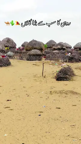 Tobah Khar’rrii #rohi #cholistan #khanzada00 