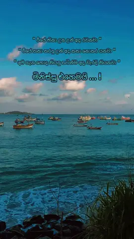 අපේ අයගේ හැටී 🙈🥺😔 : : : : : : : : : : : : : : : #foryou #foryoupage #fy #fyp #growaccount #statusvideo #statuswadan #waden #srilankan_tik_tok🇱🇰 #nature #fyyyyyyyyyyyyyyyy #goviral #trending #sinhalawadan #සිංහලවදන් #100k #100kfollowers #public #whatsappstatus 