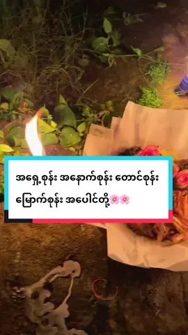 #မင်္ဂလာညချမ်းလေးပါရှင်💐💐💐💐 #ဇော်ဂနီရှင်မပုလ္လင်ပေါ်ကကြွပါစေချင်🙏 #ကဝေ့သည်းအူမရွာသူတို့ #ရွာစာချခြင်း 