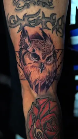 🦉 Un búho tatuado en el bíceps no es solo tinta… es fuerza y sabiduría fusionadas en la piel. El bíceps es símbolo de poder. El búho, de inteligencia, visión y misterio. Quien lo lleva, no necesita hablar fuerte: su presencia ya impone respeto. ⚔️ Porque el verdadero guerrero observa en silencio, pero actúa con precisión. Si este diseño habla por ti… 📍Ven a tatuarte conmigo en El Rey Art Tattoo, donde comienza la leyenda. 📍3717 N Sharon Amity Rd, Suite D, Charlotte NC 28205 📞 475 283 4335 💰 Contamos con planes de financiamiento 💬 Envíame un mensaje para cotizar gratis #TatuajeDeBúho #TintaConHistoria #SabiduríaYFuerza #TattooEnElBíceps #TatuajesMísticos #TattooCharlotte #ElReyArtTattoo #DondeComienzaLaLeyenda
