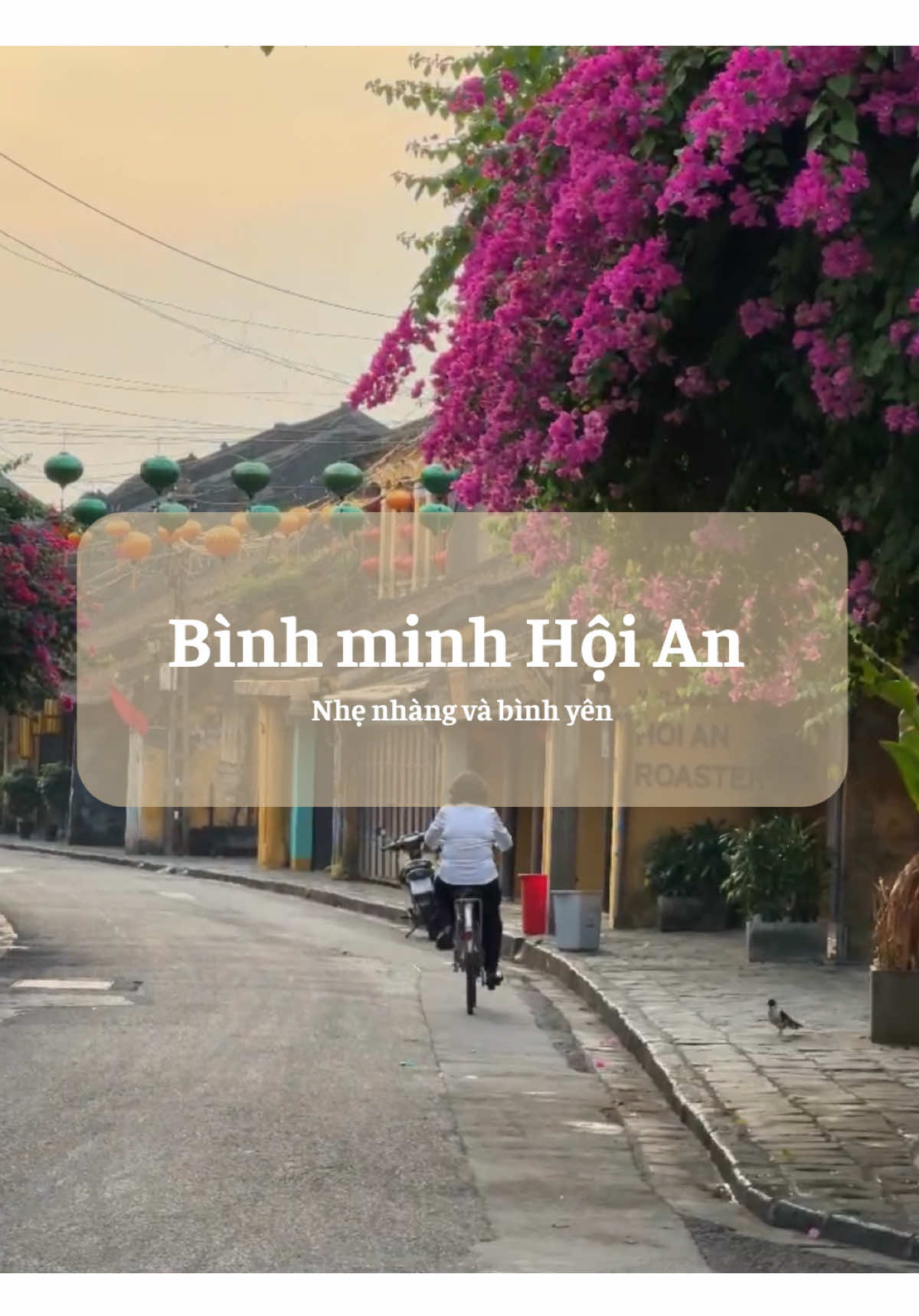 Bình minh phố cổ – nhẹ nhàng như một bản tình ca 🌅✨ Cre vid: nguyendatphu1999 #PhocoHoiAn #HoiAn #reviewHoiAn #binhminh #checkin #xuhuong #viral