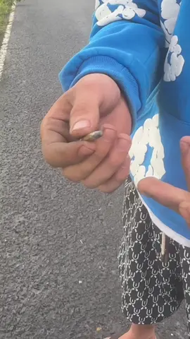 ของเล่นเด็กบ้าน #ทุกระบบจบที่บัง #.22 #ปากกา