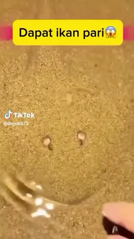 MIMPI NELAYAN#masukberandatiktok #jangkauanluas #fyppppppppppppppppppppppp 