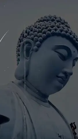 #බුදු_සරණයි_කියාගෙන_යන්න_වරදින්නෑ_කවදාවත්  ❤️🙏💔#namobuddhaya🙏🙏 #foryoupage#trending#trendingvideo#froyou#tiktokviral#tiktoktrending#fyp#viral#like#1milionaudition#srilanka🇱🇰 