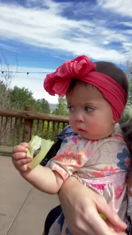 Her face from the very beginning 😂 (ig: allieweeksmurray)