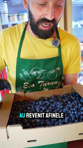 Aur albastru! 🥰 Afine perfecte și super sănătoase #ecotaran #reel #fyp #afine #blueberry 