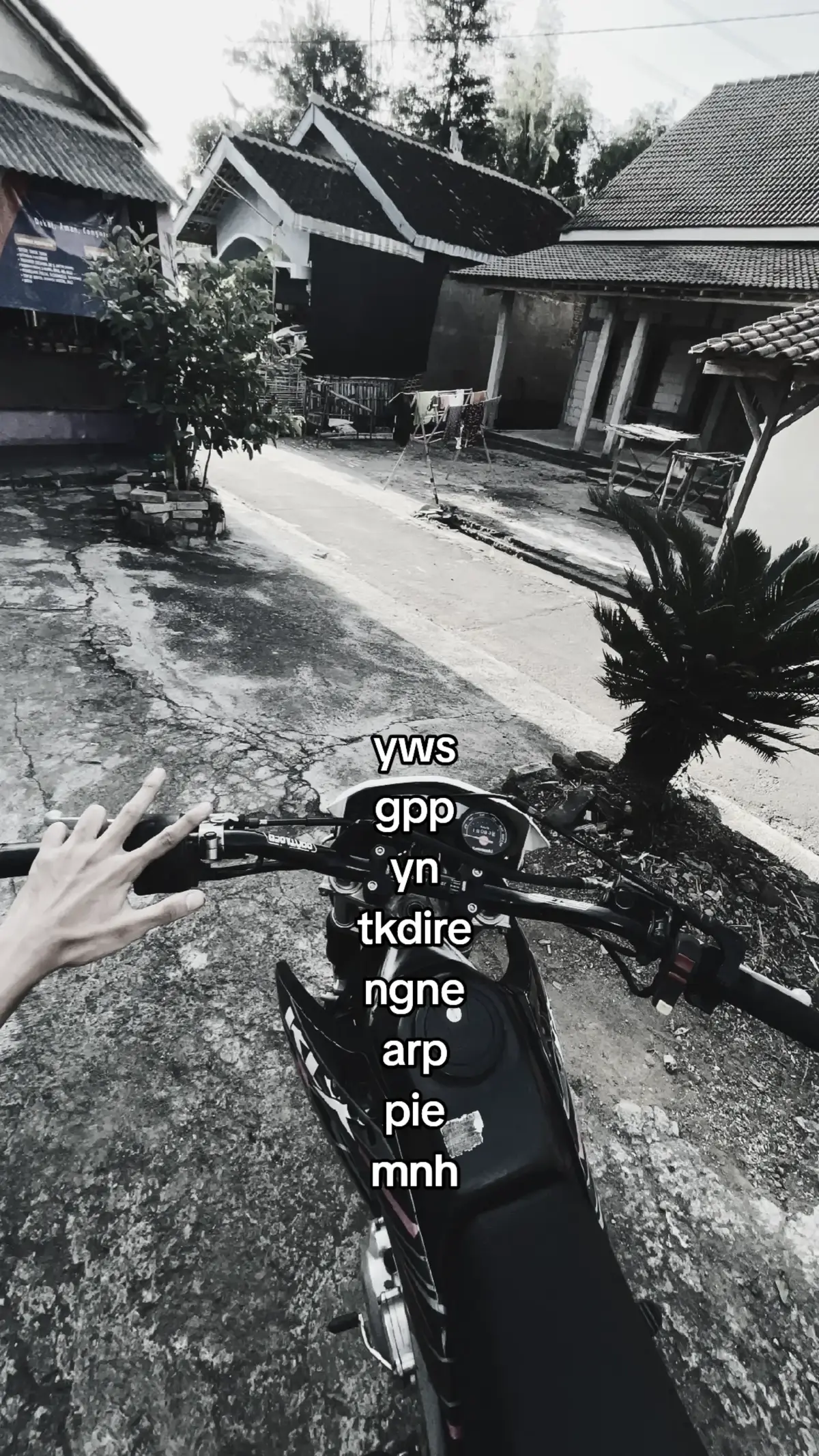 #foryou #foryoupage #masukberandafyp 