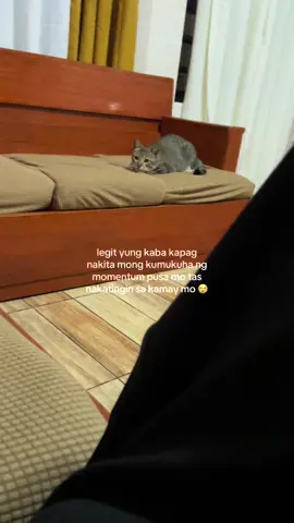 kakagulat ka mingming haha. ganto din ba pusa niyo? 😭 hahahaha #catsoftiktok #catlovers #catfunny 