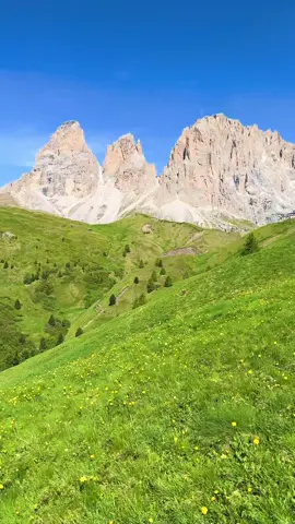 Paradise on earth #vinland #dolomites #nature #mountains 