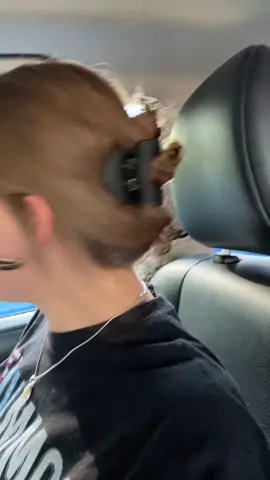 The only clip I use now. 
