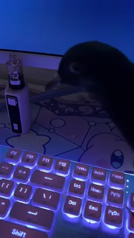 His toxic ass sickens me #fyp #pigeon #pigeons #ow2 #overwatch #overwatch2 #pigeonrescue 